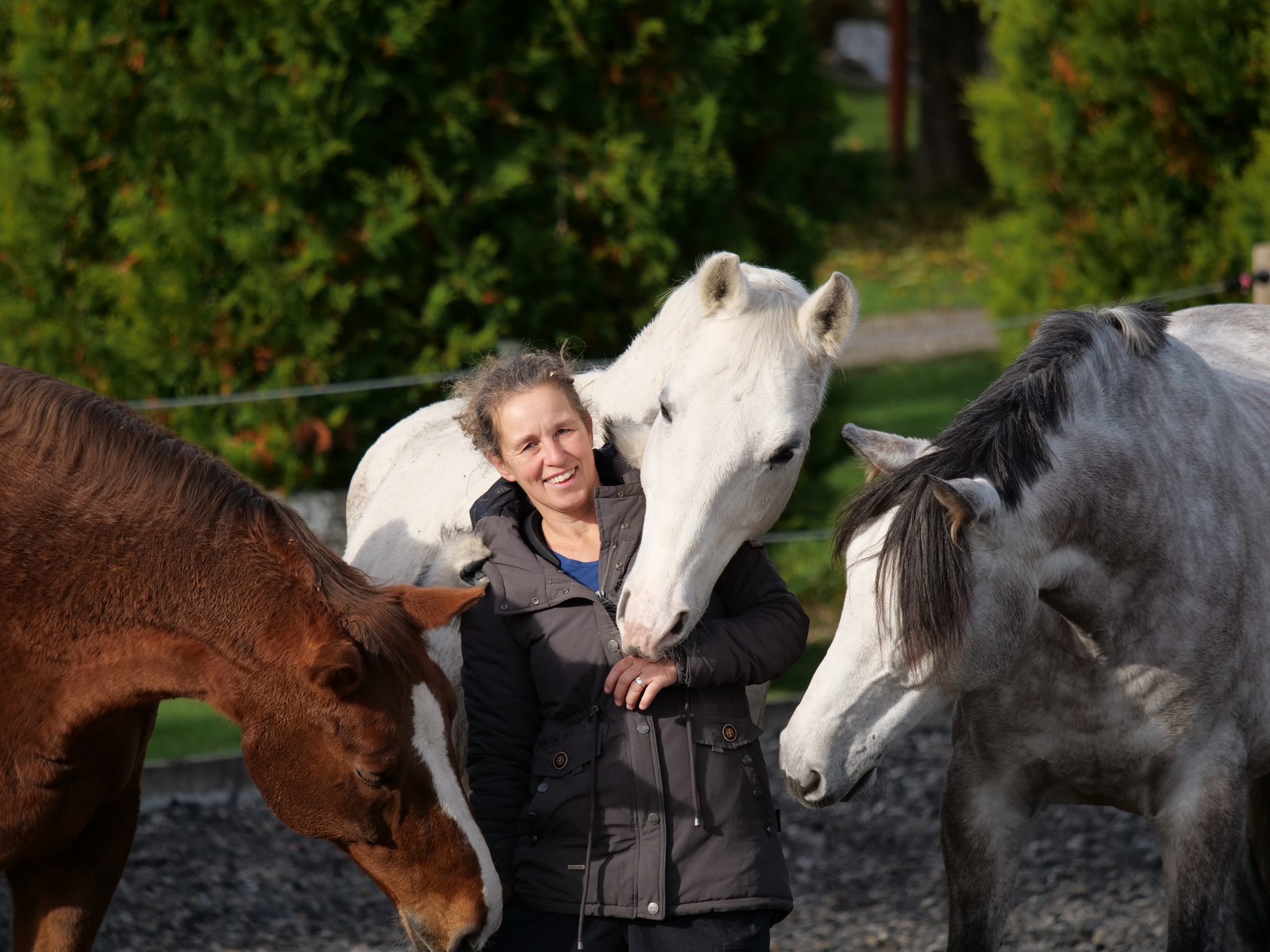 Dr. Ines Augele ist zertifizierter Horse Coach, Psycho- und Paartherapeutin sowie Ärztin
