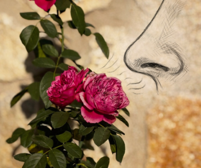 oler y memoria – relación entre olfato y memoria